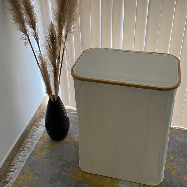 MODERNA CESTA DE LAVANDERÍA CON TAPA